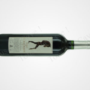 L'écuyer de Couronneau