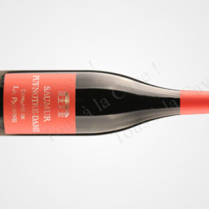 Saumur Puy-Notre-Dame