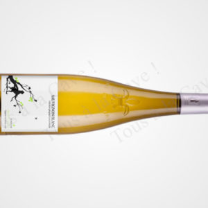 Sauvignon Blanc
