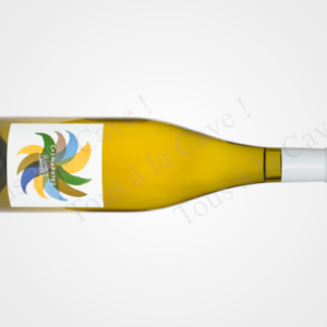 Cosmopotes
